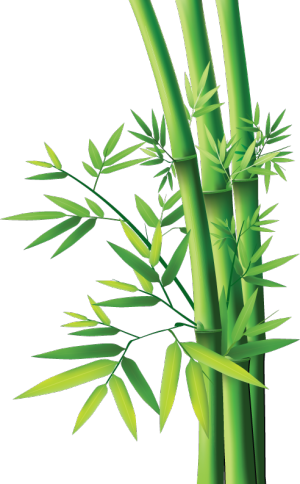 PNG 绿色竹子 