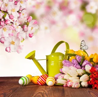 春季花卉艺术设计背景