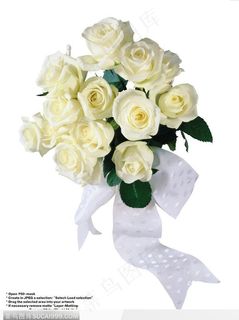 玫瑰花束-白色玫瑰花