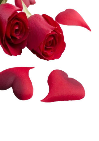 玫瑰花花瓣爱心情人节