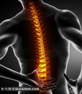 医疗透视系列 - 唯美人体透视