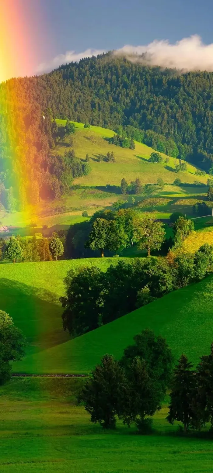 彩虹掠过草场风景图