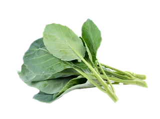 芥蓝 (3)超市商品白底图免抠实物摄影png格式图片透明底