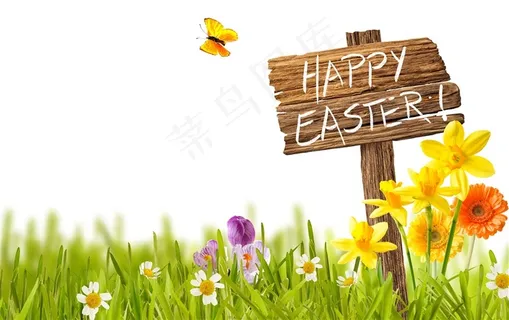 精美节日彩蛋设计