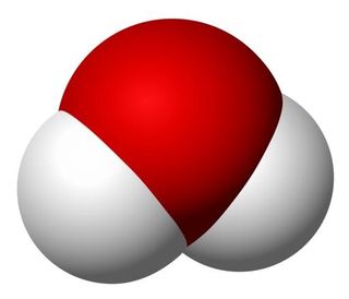 分子 PNG免抠