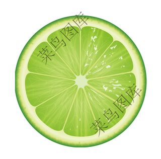 青柠檬片矢量图