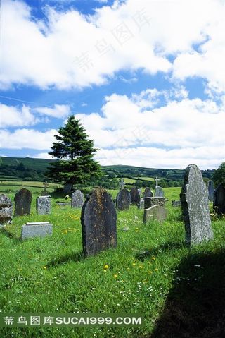 草地上的墓碑图片素材