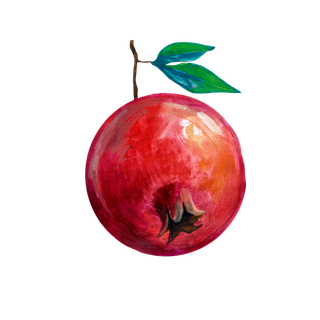 水果水彩画水果免扣素材石榴