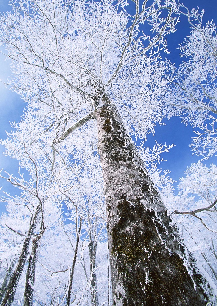 冰天雪地 229