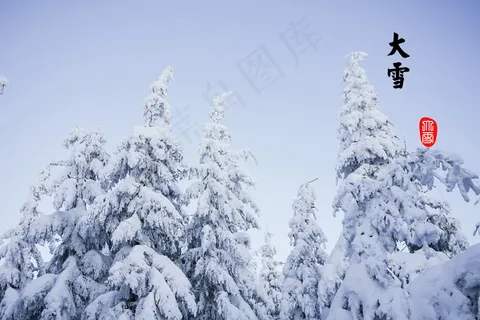 大雪节气图 大雪节气图