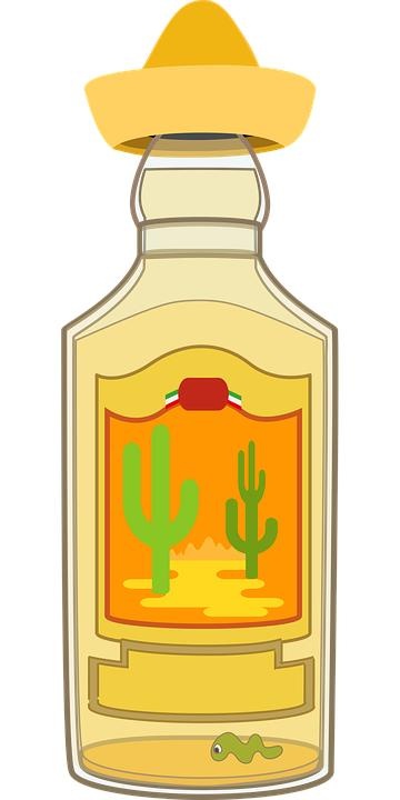 龙舌兰酒 PNG免抠(360x720)