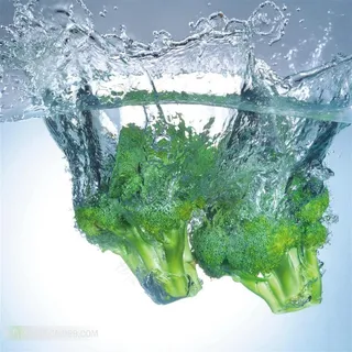 落入水中的花菜高清动态摄影 落入水中的花菜高清动态摄影