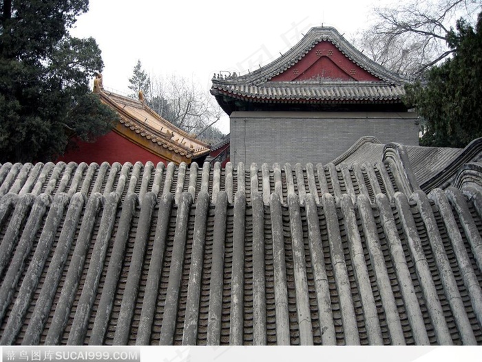 颐和园风光_-青色的砖瓦