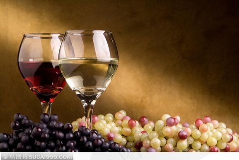 紫葡萄和白葡萄与高脚酒杯里的红酒、香槟