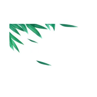 竹叶叶子免抠