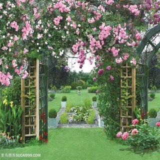 高清花卉花圃草地风景画