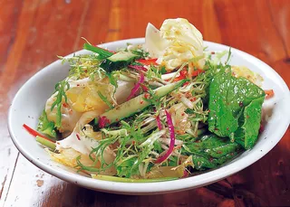 LCSC0281传统长泡菜