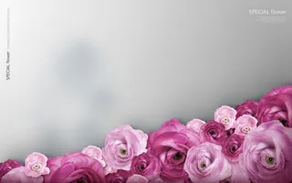 韩式花卉节日背景