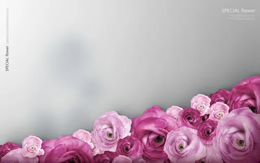 韩式花卉节日背景 韩式花卉节日背景