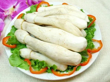 鸡腿菇图片 鸡腿菇图片