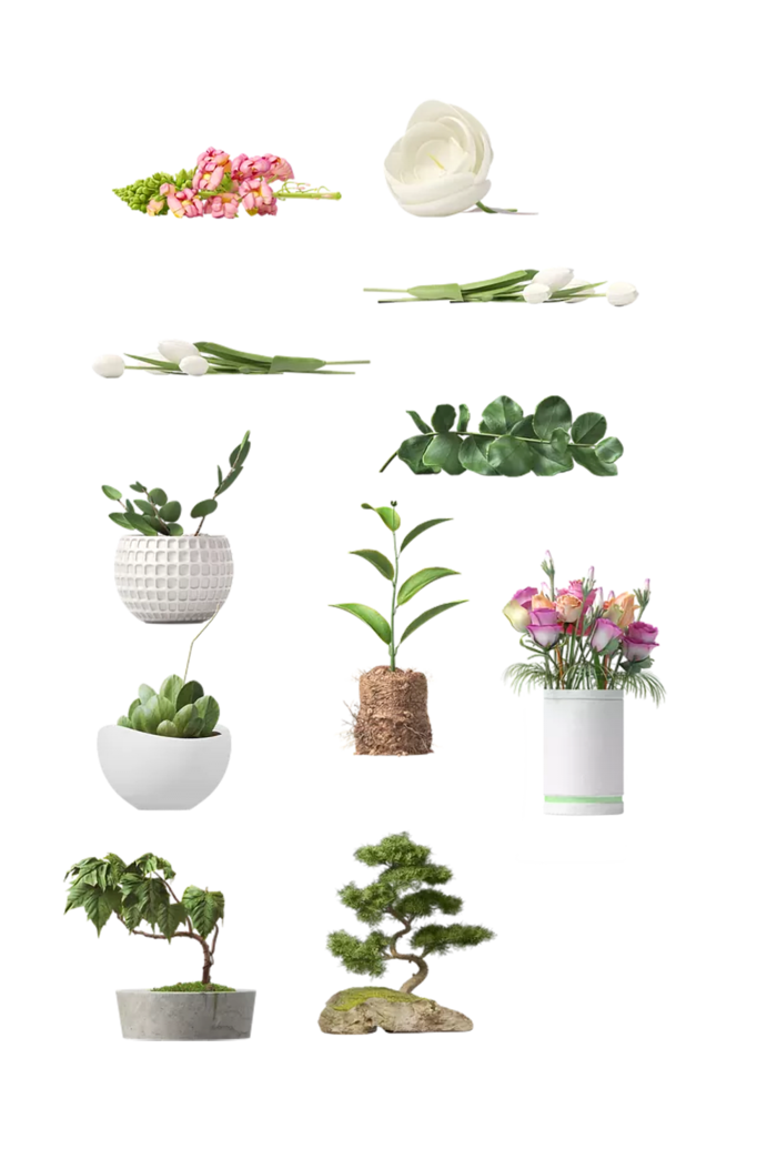 植物盆栽免抠png