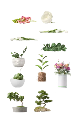 植物盆栽免抠png