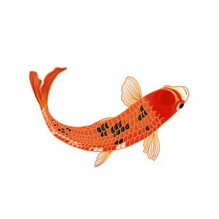 手绘烫金国潮中国风卡通锦鲤鱼金鱼插画装饰元素PSD设计素材