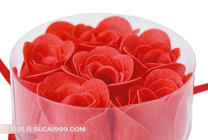 高清晰玫瑰花图片