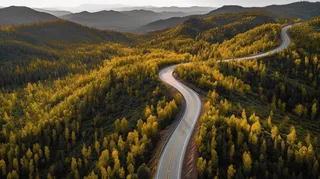 森林里一条蜿蜒的公路航拍摄影图