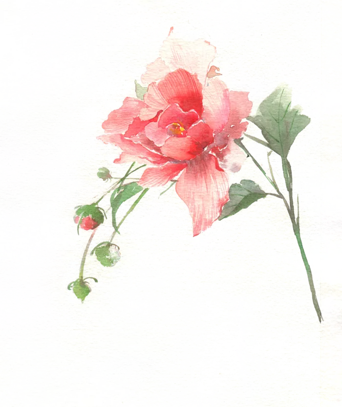 花朵|装饰|免扣元素|多色