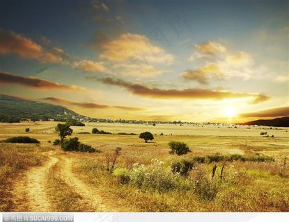 郊外原野的黄昏