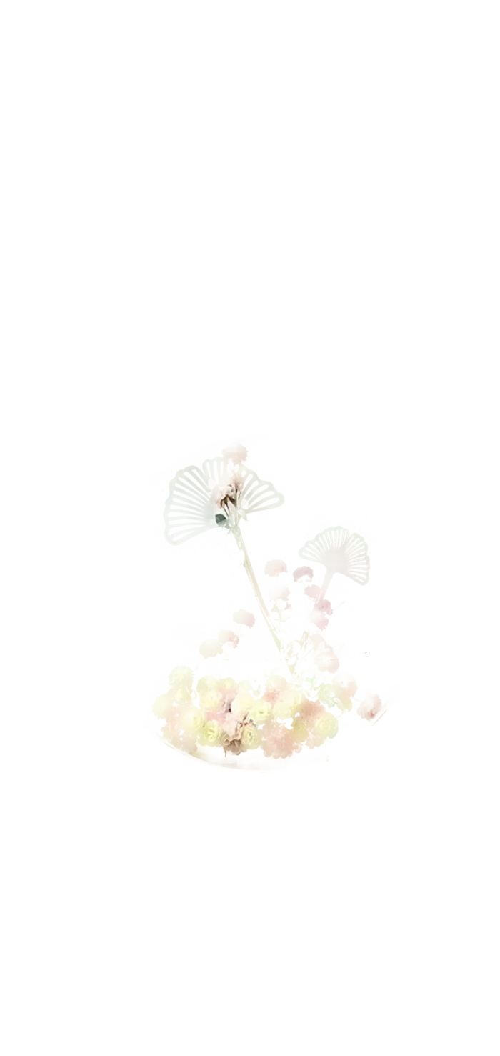 干花浅色搭配透明素材装饰