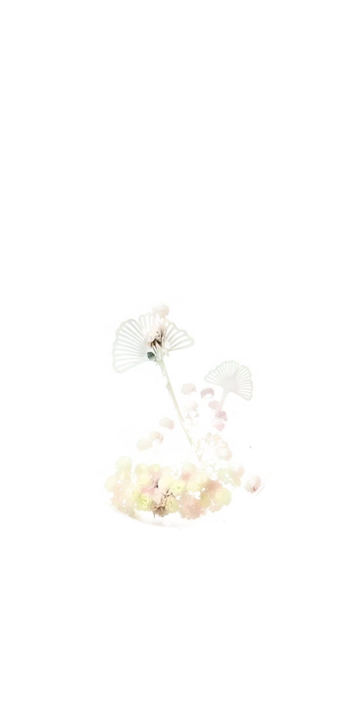 干花浅色搭配透明素材装饰