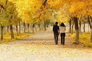 行走在落叶下的情侣图片