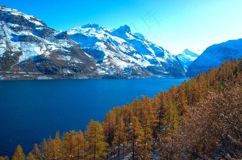 蓝色海面两边的雪山和松树林