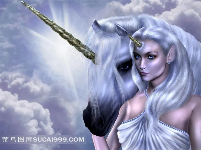 独角性感美女骏马插画