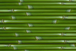 高清竹子背景图片下载