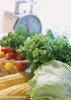 新鲜蔬菜高清素材