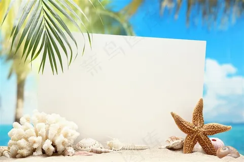 清凉夏日主题景色特写图片