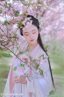 陶醉在桃花香里的古装美女图片