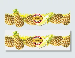 菠萝 菠萝 水果  标识框  尝尝吧好好享受