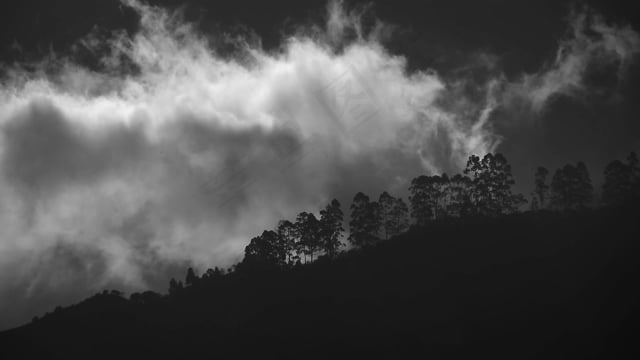 黑和白, 景观, 树木, 云, 天空