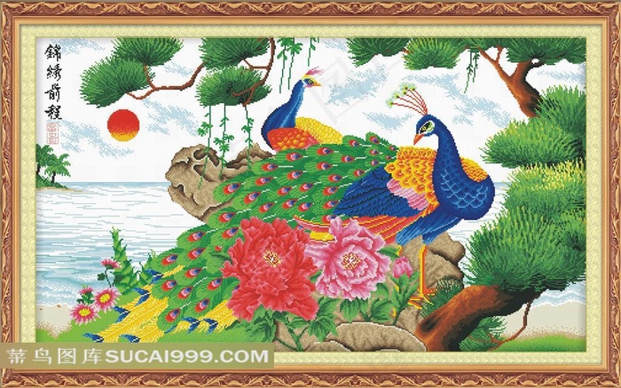 花鸟孔雀图片素材