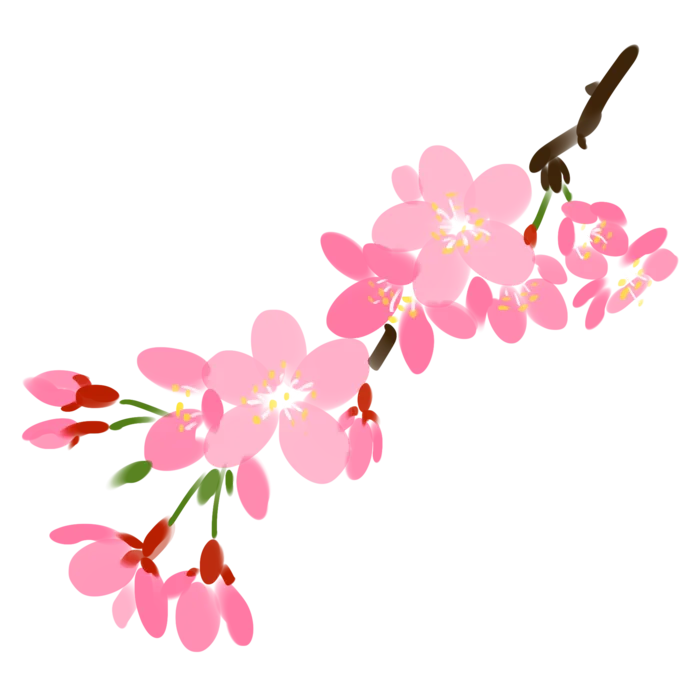 春天浪漫粉红色樱花手绘樱花梅花桃花花朵图片PNG免扣素材