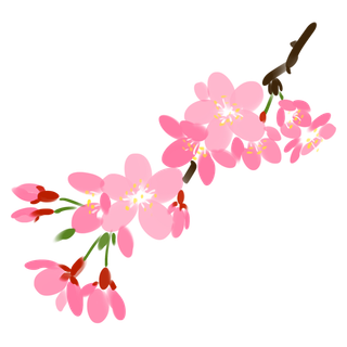 春天浪漫粉红色樱花手绘樱花梅花桃花花朵图片PNG免扣素材