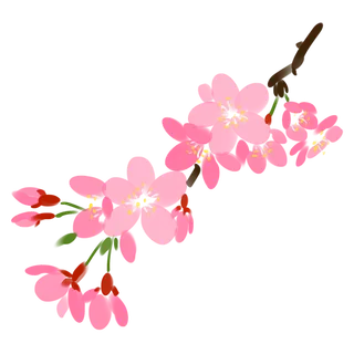 春天浪漫粉红色樱花手绘樱花梅花桃花花朵图片PNG免扣素材 春天浪漫粉红色樱花手绘樱花梅花桃花花朵图片PNG免扣素材