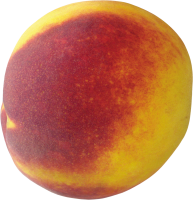 73_peach_PNG4857