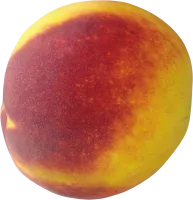 73_peach_PNG4857