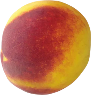 73_peach_PNG4857