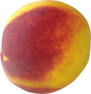 73_peach_PNG4857 73_peach_PNG4857